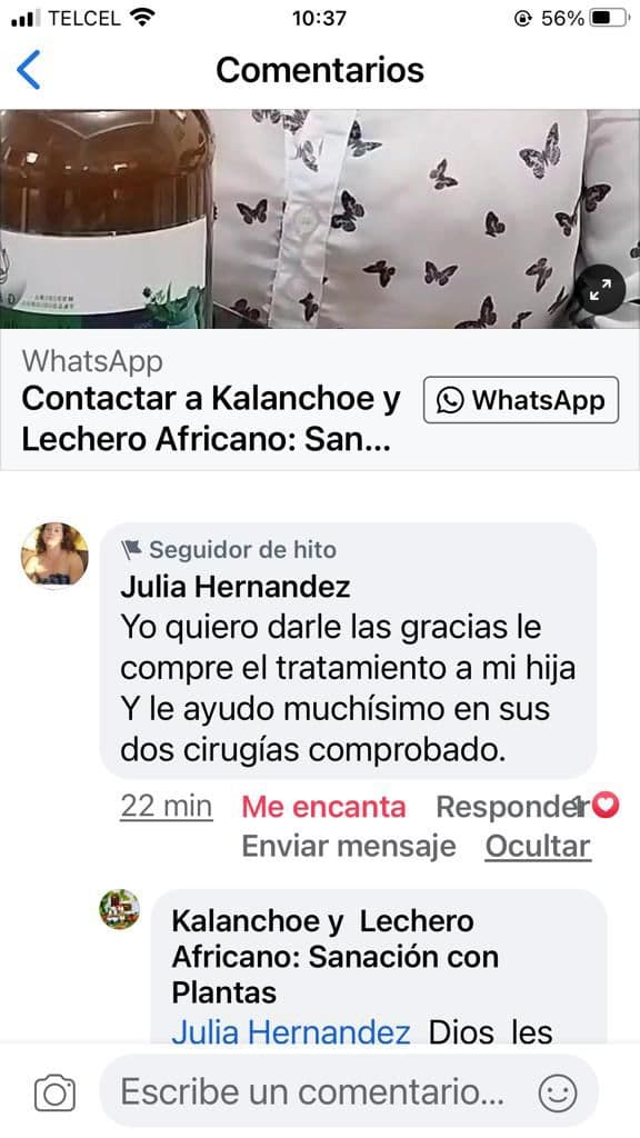 Testimonio de Julia Hernández Vía Facebook